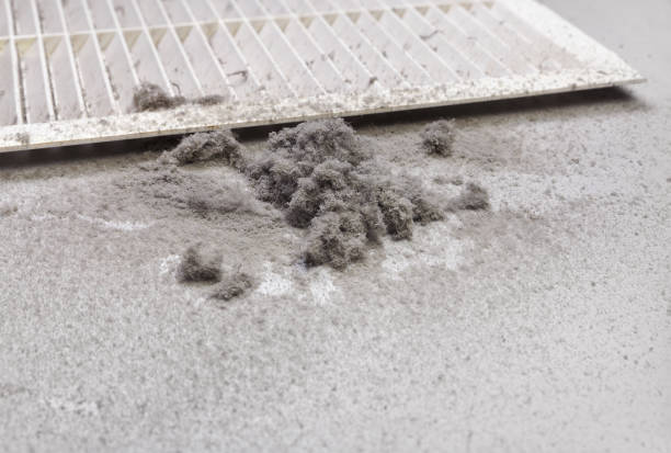 Best HVAC Duct Inspection Services  in New Franklin, MO