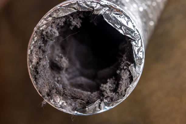 Best Air Duct Cleaning Near Me  in New Franklin, MO