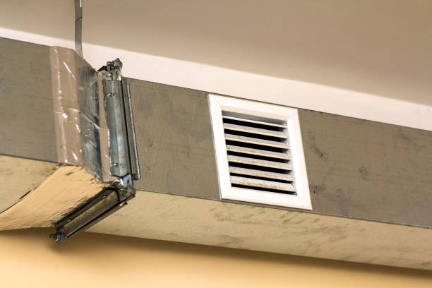 Best Air Duct Mold Removal  in New Franklin, MO